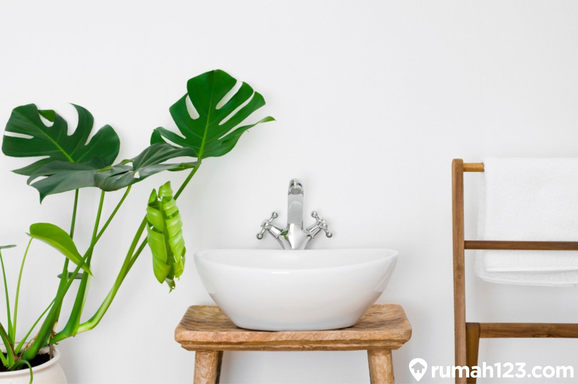 12 Tanaman Hias Terbaik Yang Cocok Diletakkan Di Kamar Mandi Rumah123 Com